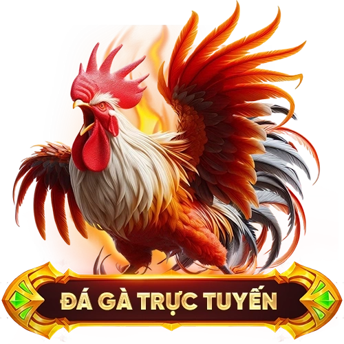 đá gà trực tuyến 98WIN